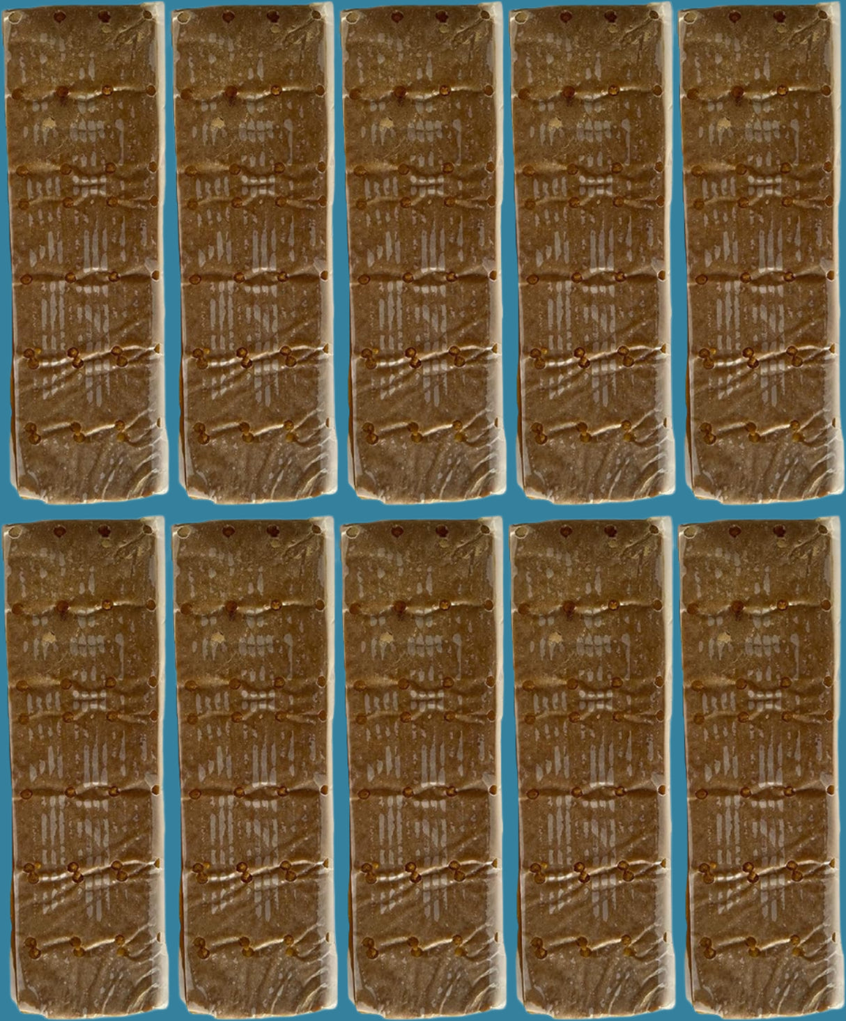 Global Patties - 10 Pack