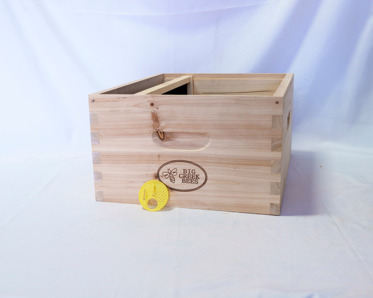 Disc Entrance Plastic