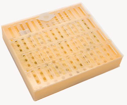 Queen Cultivation Box