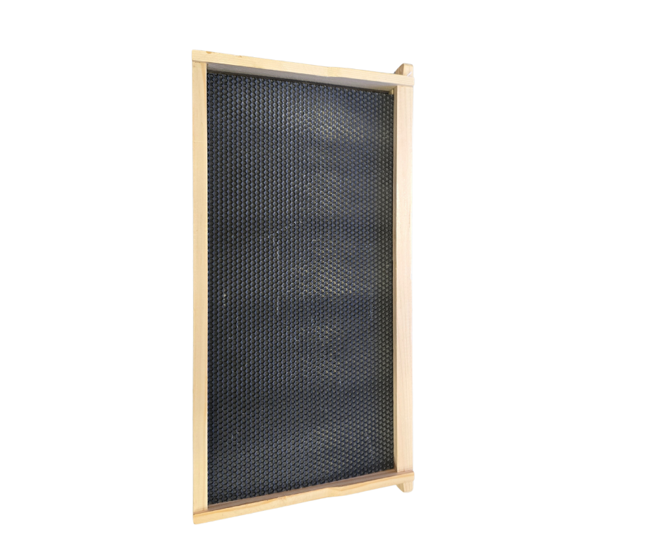 Double Wax Dipped Hive Frames (Wooden Frame + Plastic Foundation) (OVERSTOCK)