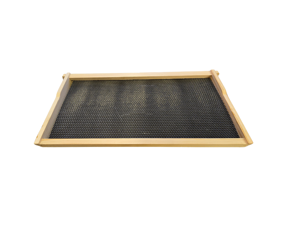 Double Wax Dipped Hive Frames (Wooden Frame + Plastic Foundation) (OVERSTOCK)