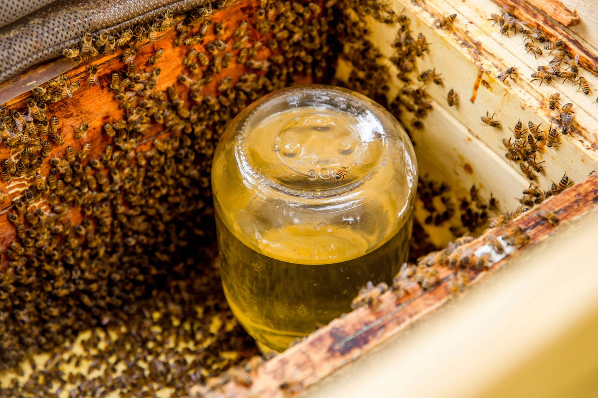55% High Fructose Corn Syrup (per gallon)
